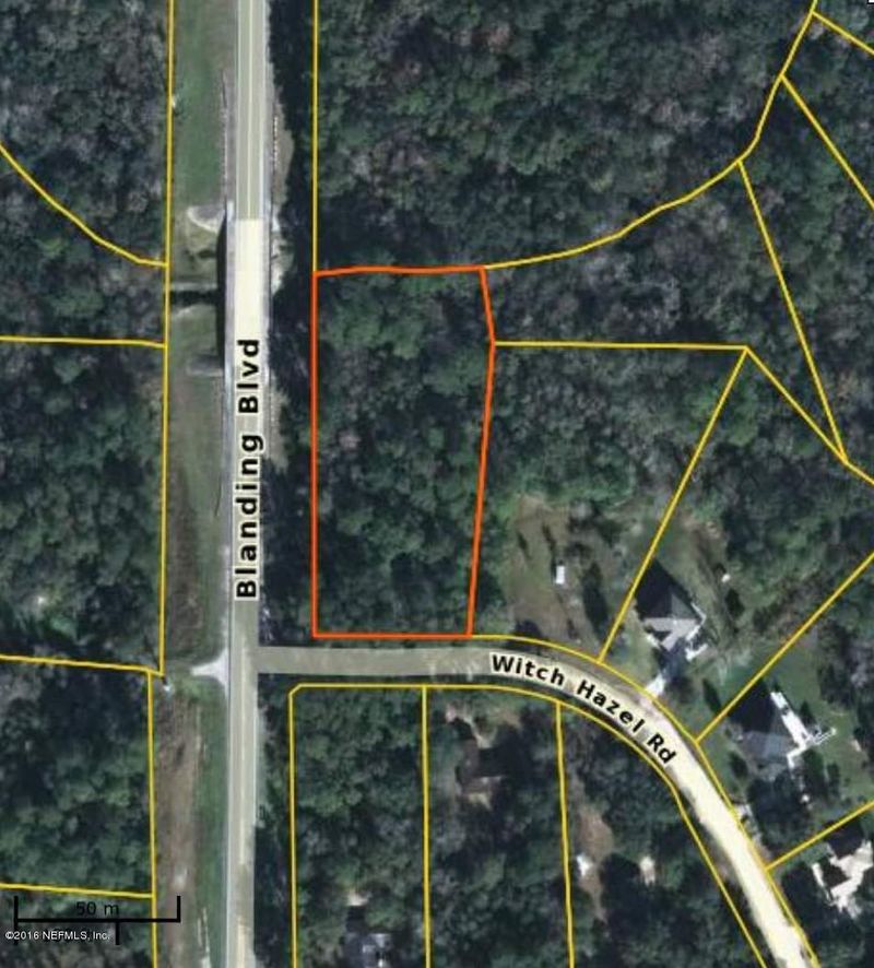 2843 Witch Hazel Rd, Middleburg, FL 32068
