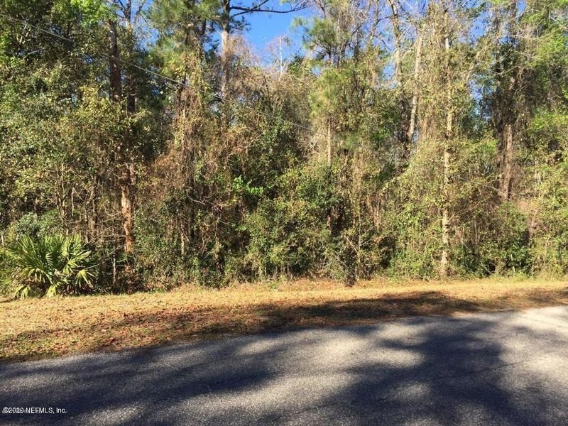 2870 Cranberry Cir, Middleburg, FL 32068