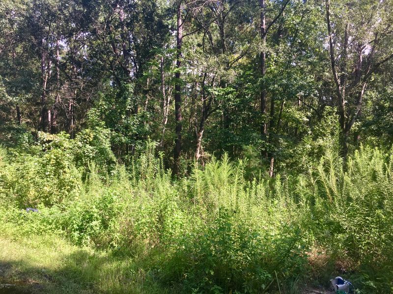 2926 Lucille Ln, Middleburg, FL 32068