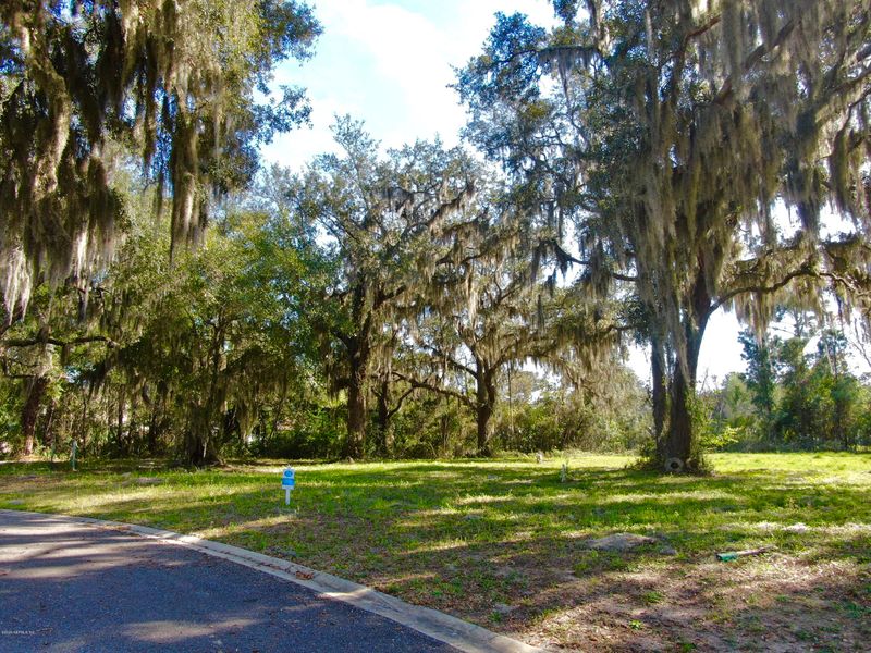 29318 Grandview Manor, Yulee, FL 32097