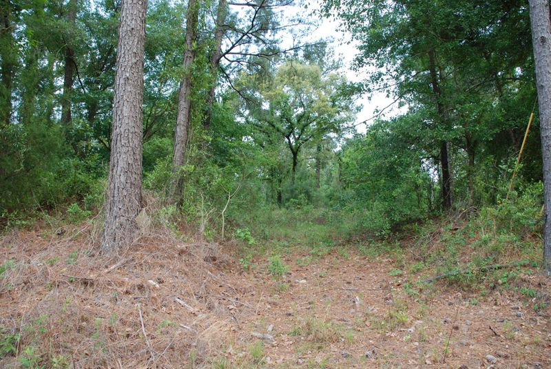 3 AC Lake Hampton Rd, Hilliard, FL 32046