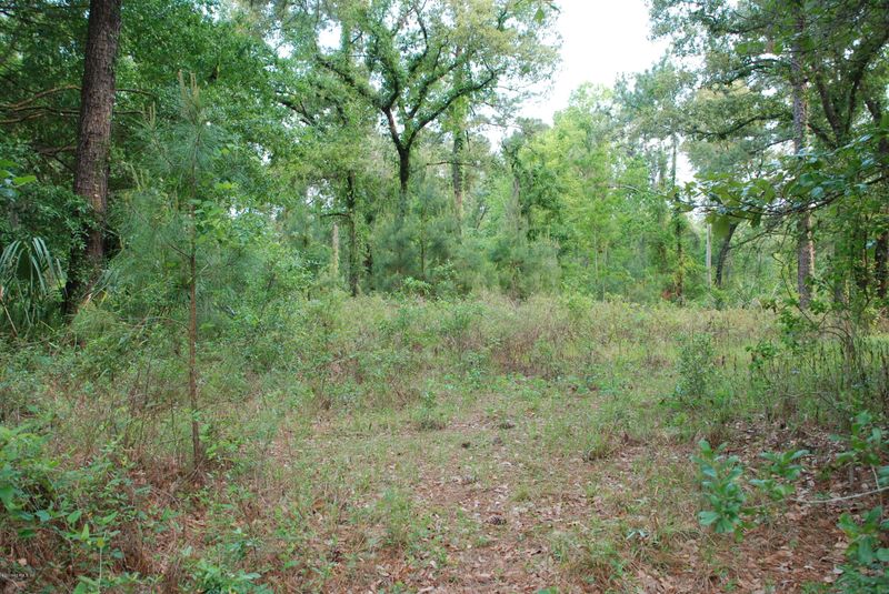 3 AC Lake Hampton Rd, Hilliard, FL 32046