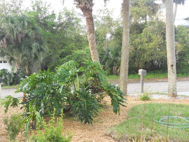 304 B St, St Augustine, FL 32080
