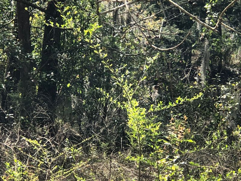 3140 Bessent Rd, Jacksonville, FL 32218
