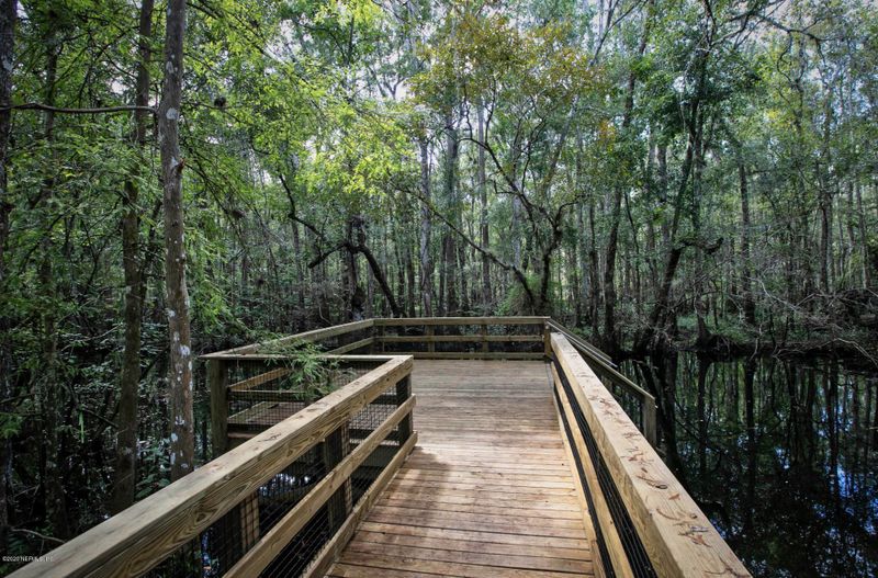 317 Weathered Edge Dr, St Augustine, FL 32092