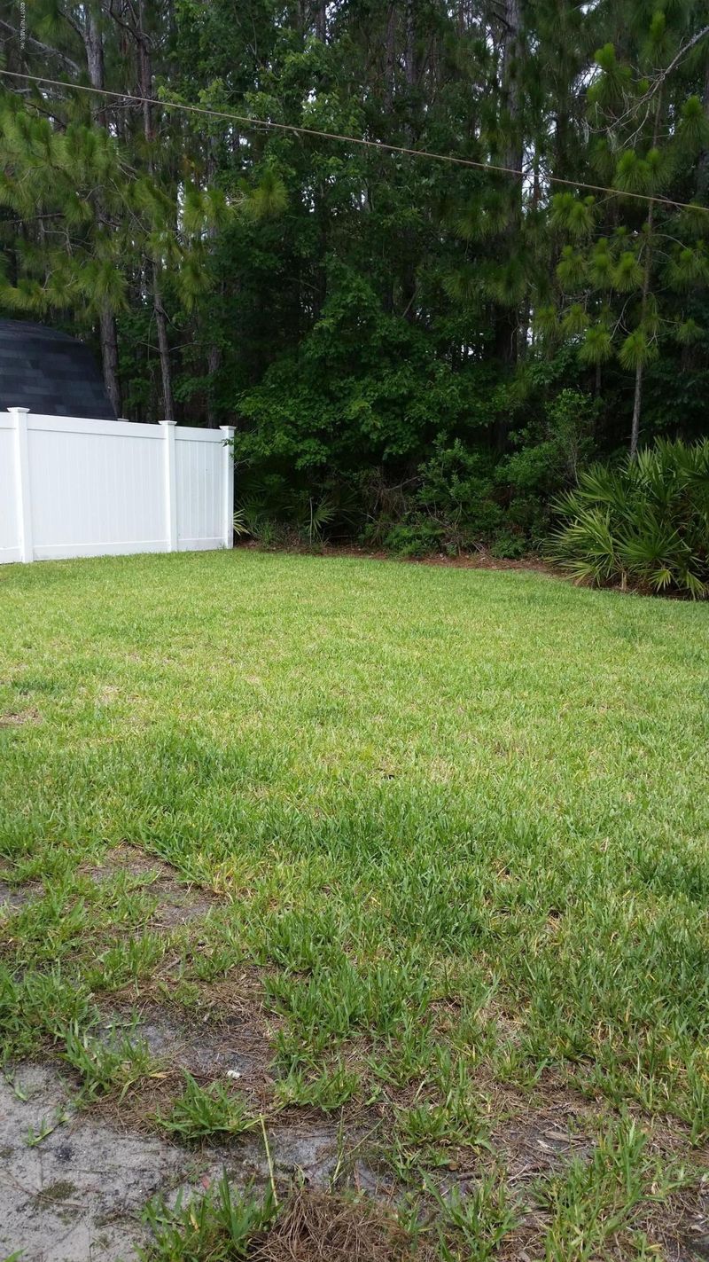 3200 Wandering Oaks Dr, Orange Park, FL 32065