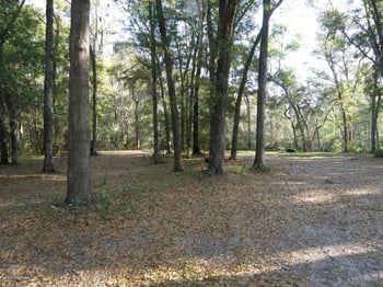 3210 Cross Creek Pl, St Augustine, FL 32086