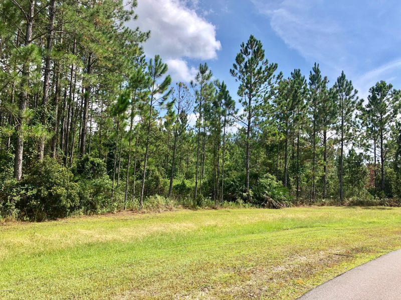 324 Morris Loop, Jacksonville, FL 32259