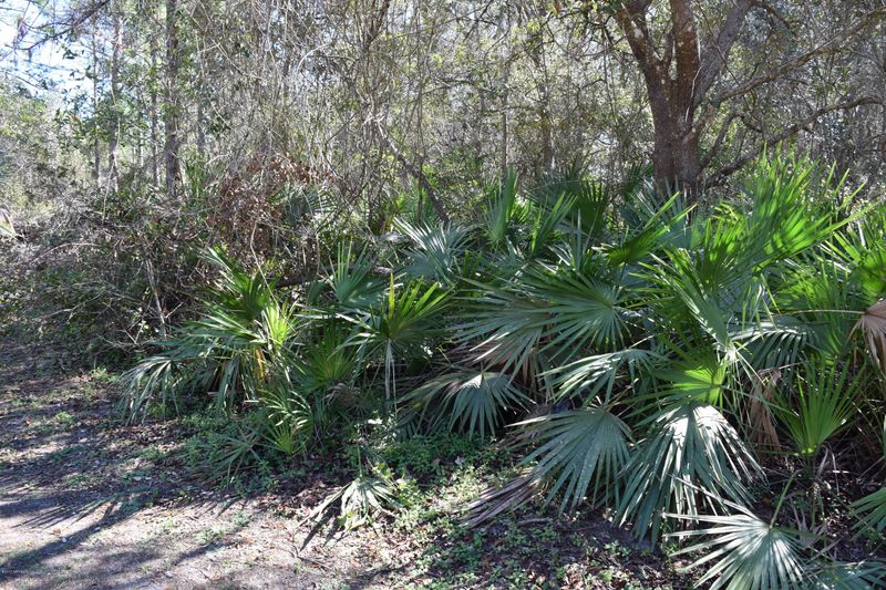 3329 5th St, Elkton, FL 32033