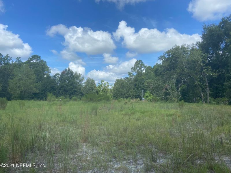 3443 Devilwood St, Middleburg, FL 32068