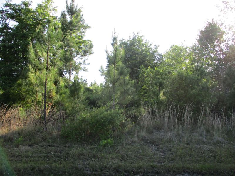34492 Mitigation Trl, Callahan, FL 32011