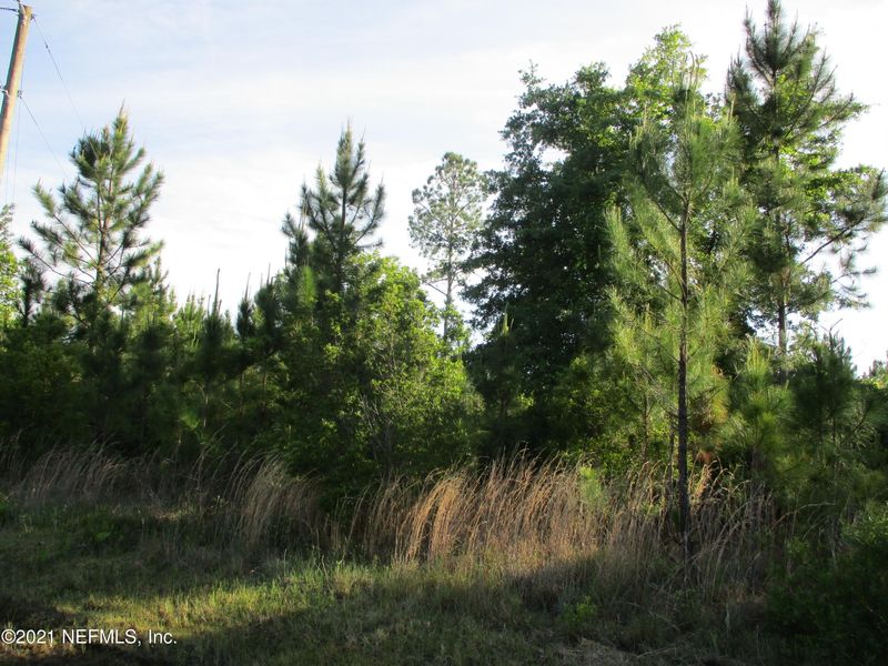 34492 Mitigation Trl, Callahan, FL 32011