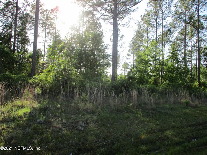 34492 Mitigation Trl, Callahan, FL 32011