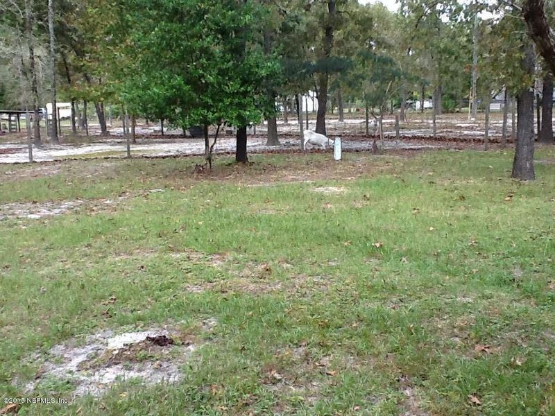 3512 Devilwood St, Middleburg, FL 32068