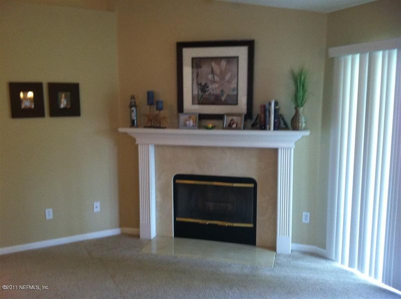 352 Brier Rose Ln, Orange Park, FL 32065