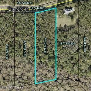 355 Diamond Trl, Hastings, FL 32145