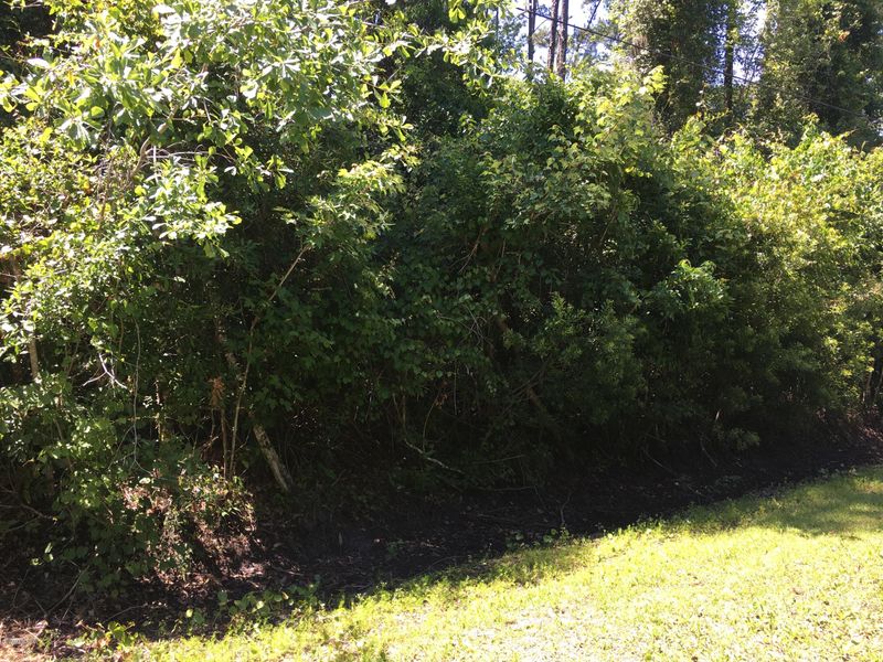 366 Circle Dr W, St Augustine, FL 32084