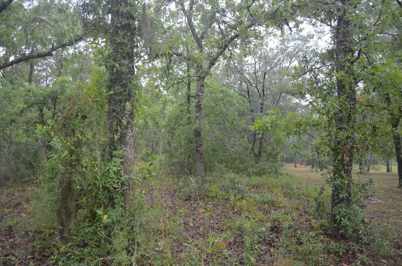 3667 Jims Ct, Green Cove Springs, FL 32043