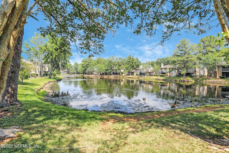 3801 Crown Point Rd #1122, Jacksonville, FL 32257
