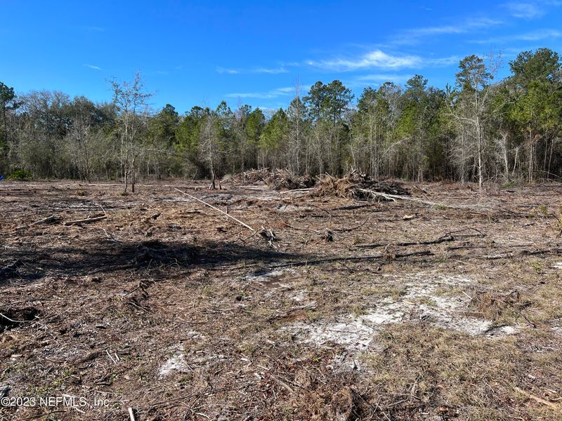 3879 Hamp Hicks Rd, Bryceville, FL 32009