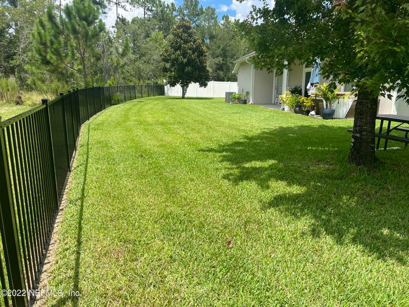 3944 Pipit Point, Middleburg, FL 32068