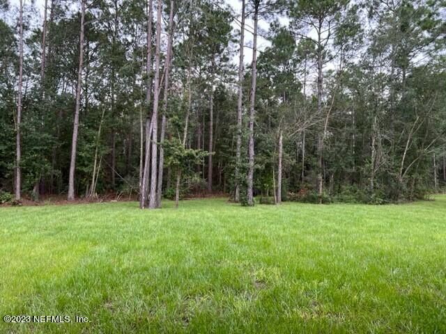 4053 Coyote Ct, Middleburg, FL 32068