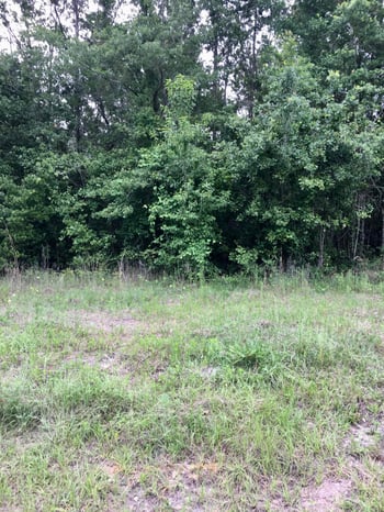 4057 E M Spence Rd, Macclenny, FL 32063