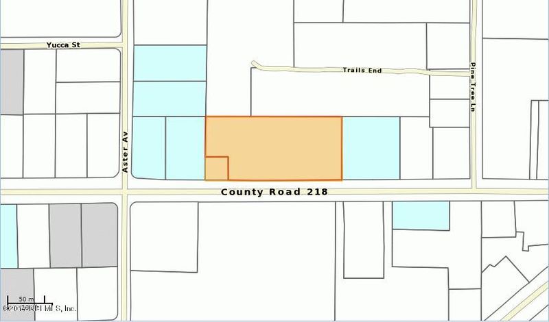 4112 Cr 218, Middleburg, FL 32068
