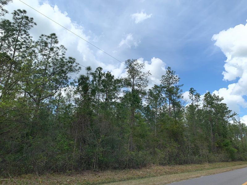 4200 Guy St, Hastings, FL 32145