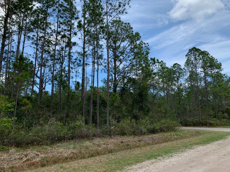 4200 Guy St, Hastings, FL 32145