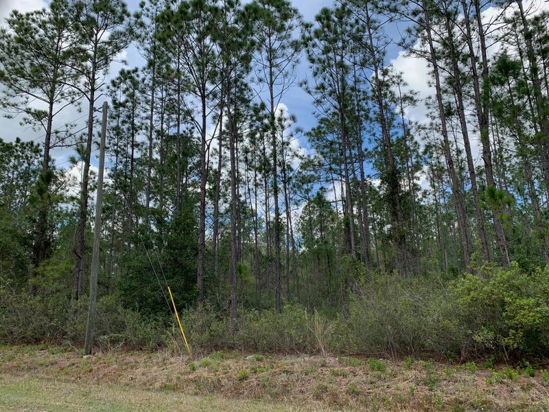 4200 Guy St, Hastings, FL 32145