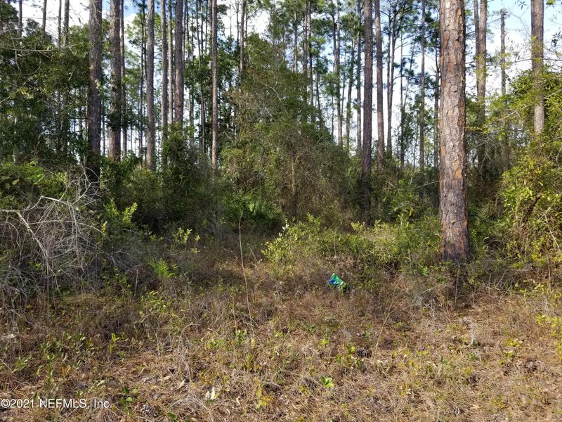 4226 Co Rd 218, Middleburg, FL 32068