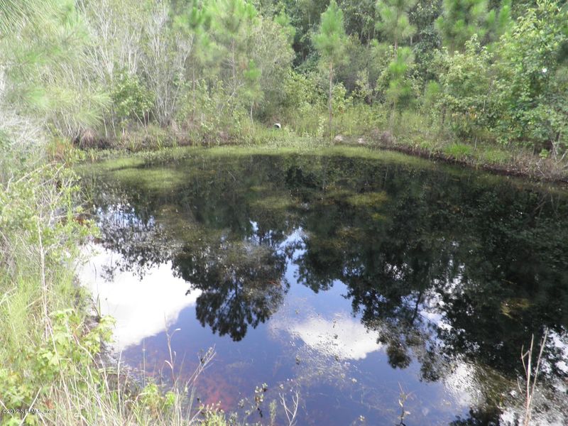4250 Jefferson Ave S, Hastings, FL 32145