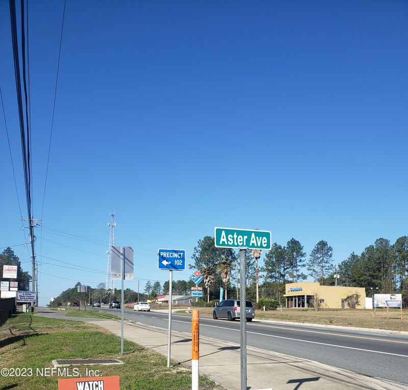 4256 Angora St, Middleburg, FL 32068