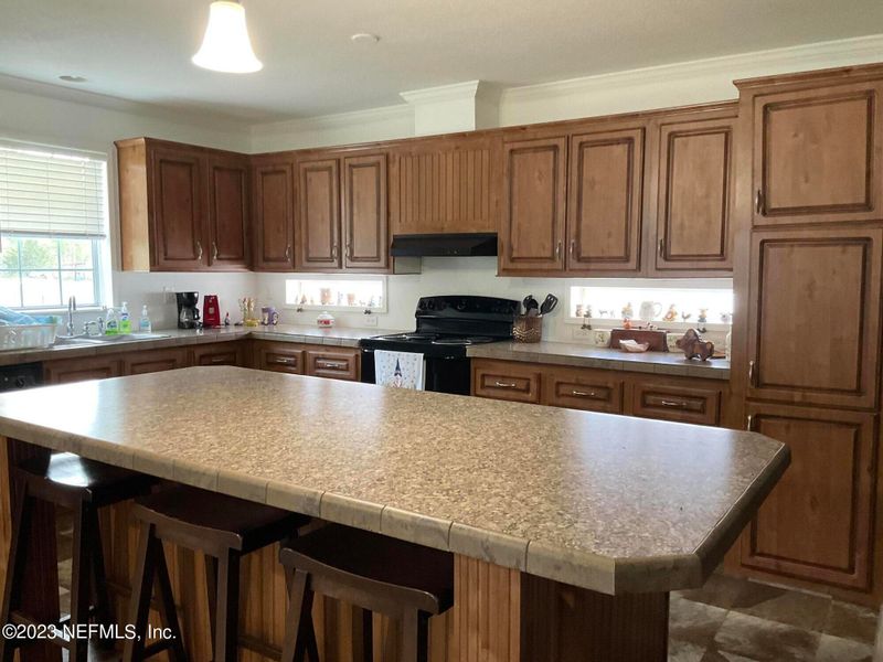 44007 Squirrel Way, Callahan, FL 32011