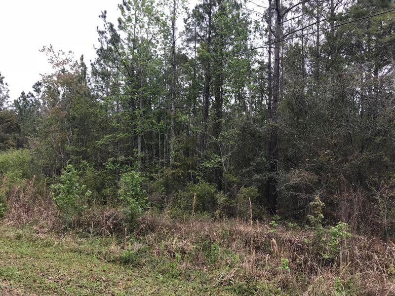 4408 Pine Tree Ln, Middleburg, FL 32068