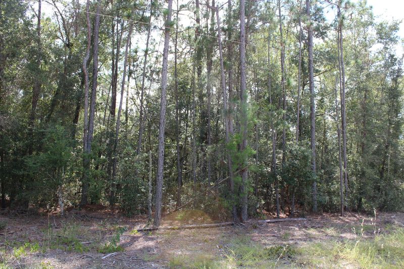4417 Station Freeway, Keystone Heights, FL 32656