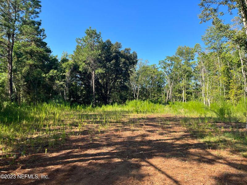 44212 Mayhaw Ln, Callahan, FL 32011