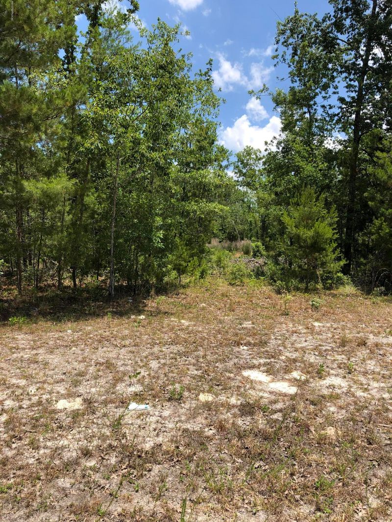 4436 Junction Dr, Middleburg, FL 32068