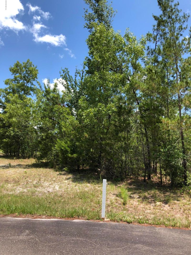 4436 Junction Dr, Middleburg, FL 32068