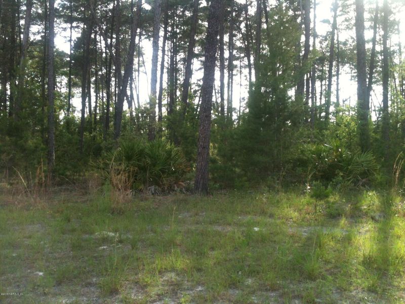 4447 Junction Dr, Middleburg, FL 32068