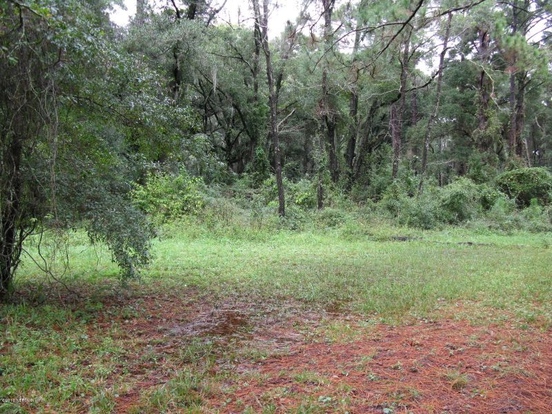 4448 Edenfield Ln, Jacksonville, FL 32277