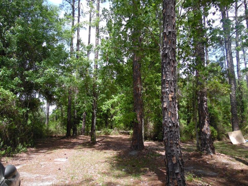 4465 Melanie St, Hastings, FL 32145