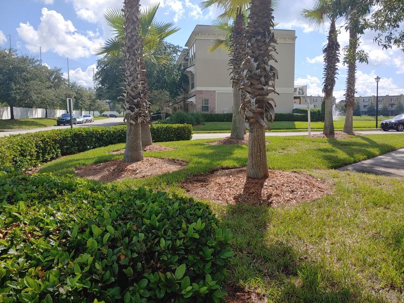 4472 Capital Dome Dr, Jacksonville, FL 32246