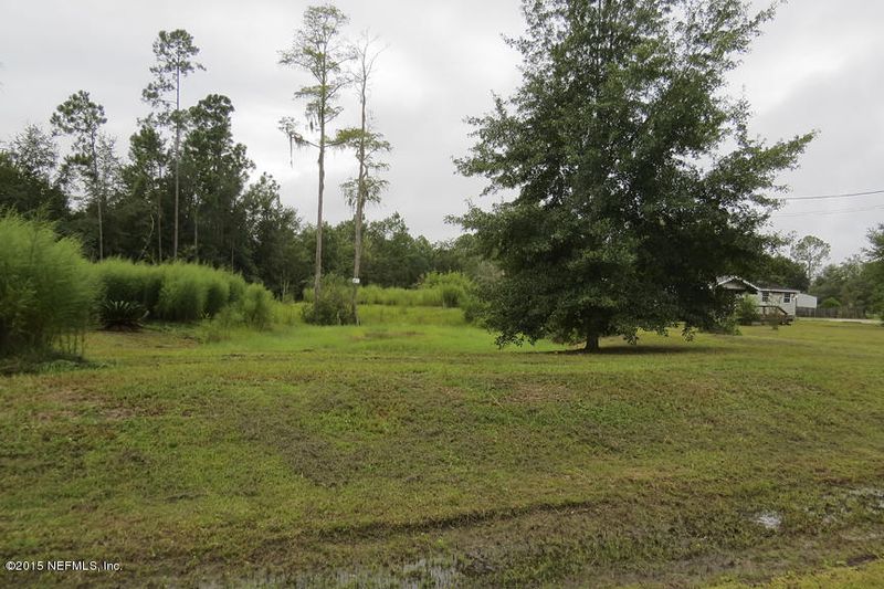 4509 Calendula Cir, Middleburg, FL 32068