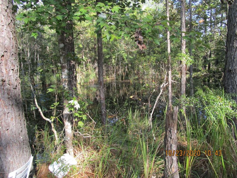 450963 Old Dixie Hw, Callahan, FL 32011