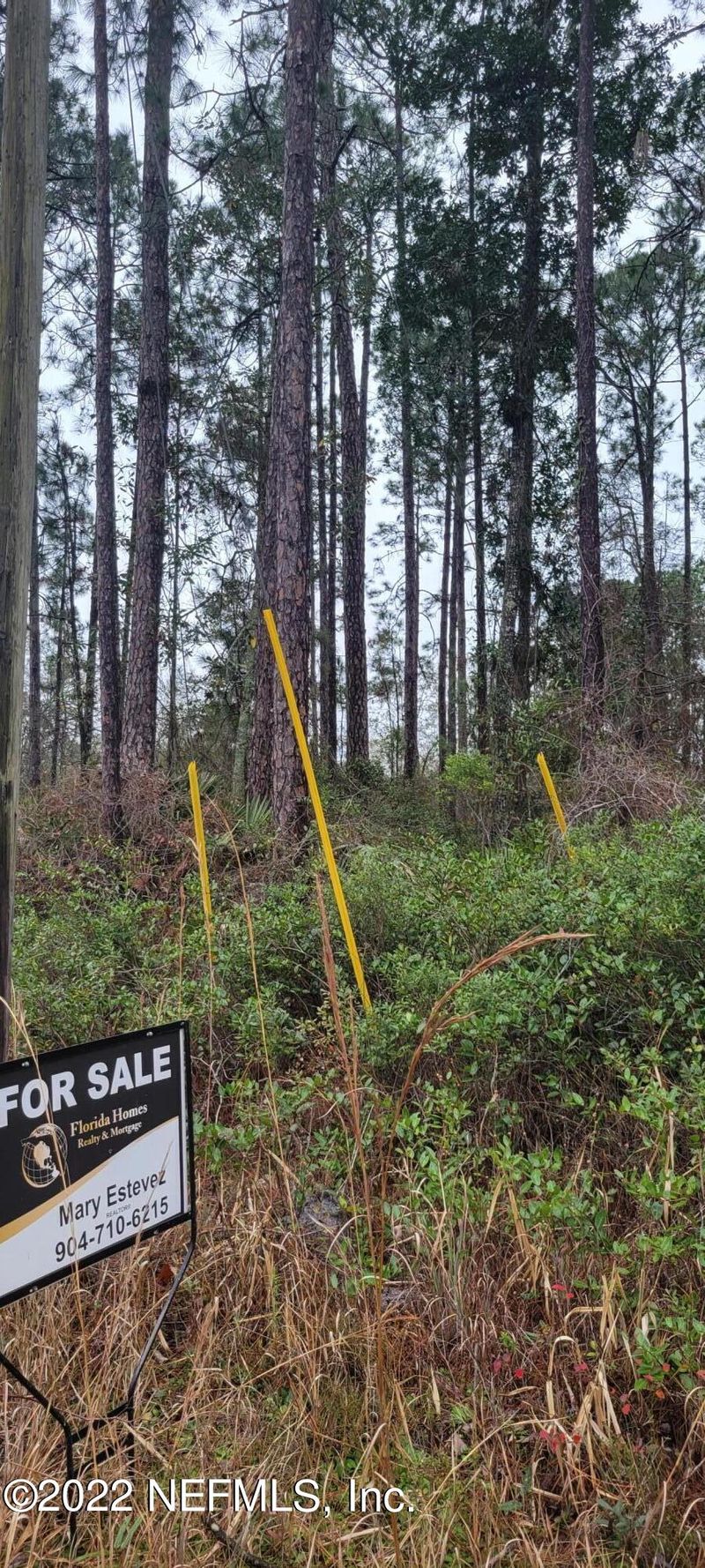 4511 Co Rd 218, Middleburg, FL 32068