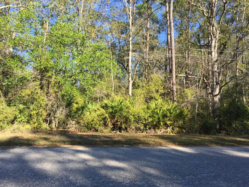 4539 Tarragon Ave, Middleburg, FL 32068
