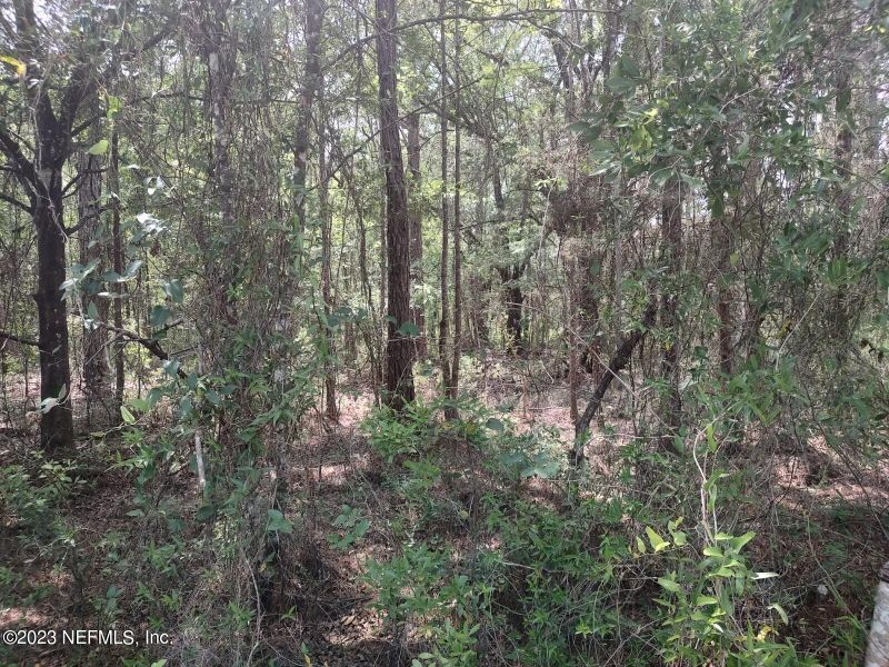 4545 Palatka Blvd, Hastings, FL 32145
