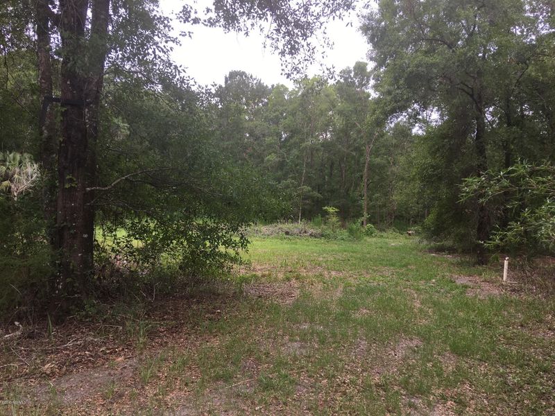 4573 Jonathan St, Hastings, FL 32145